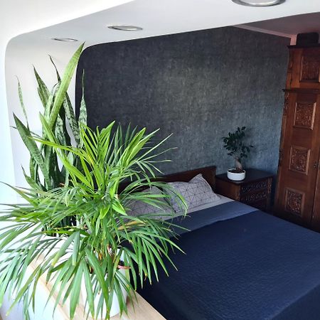 Apartment In Dristor Area 布加勒斯特 外观 照片