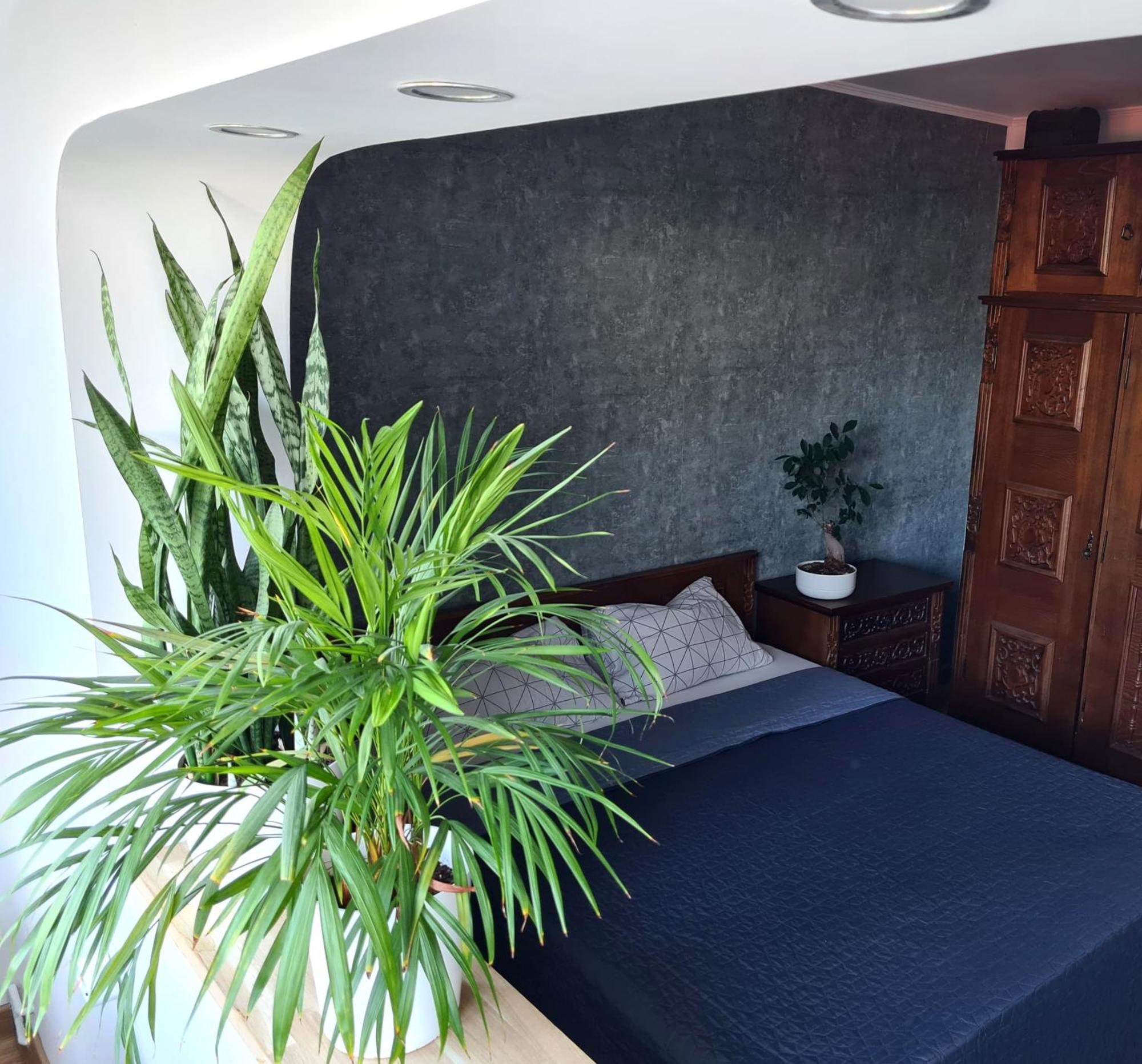 Apartment In Dristor Area 布加勒斯特 外观 照片